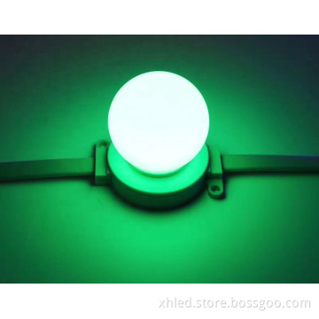 Permanent Intelligent Indoor/Outdoor Red Blue Yellow Christmas LED Decorative Light String